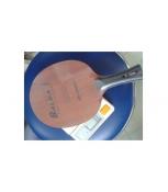 Cốt vợt cho người đánh gai T9 Pro